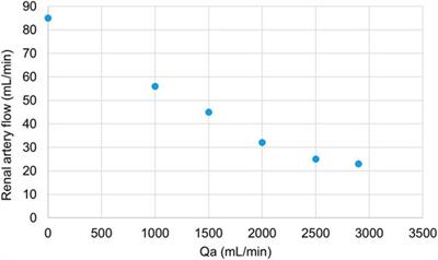 New Porcine Model of Arteriovenous Fistula Documents Increased Coronary Blood Flow at the Cost of Brain Perfusion